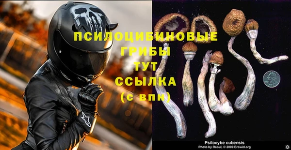 герыч Верхний Тагил